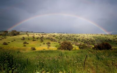 Day 27 War in Israel: Rainbows